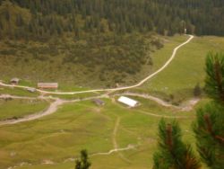 2013-09-08_6Falkenh-Steinfalk (051).JPG